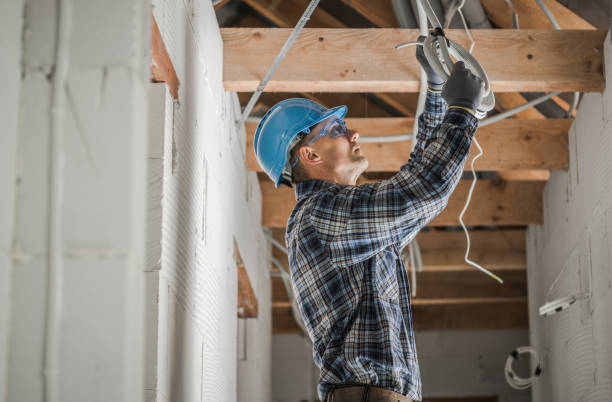 Best Electrical System Inspection  in Dwight, IL