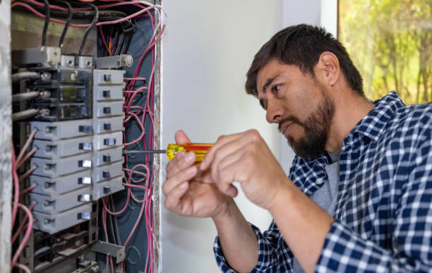 Best Electric Panel Repair  in Dwight, IL